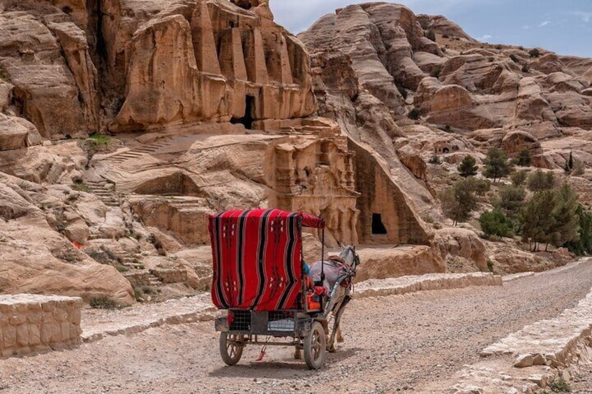 Full-Day Tour of Petra from Eilat