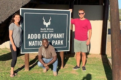 Addo Elephant National Park Day Tour from Port Elizabeth