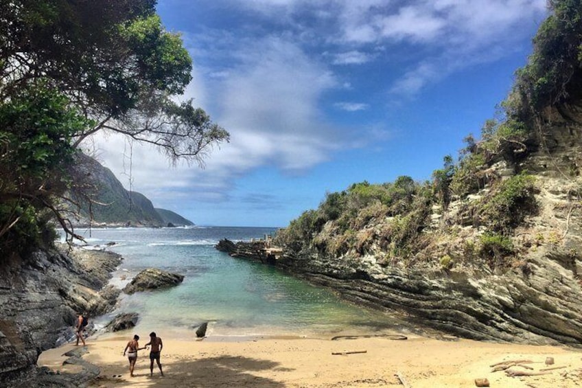 Luscious Tsitsikamma National Park