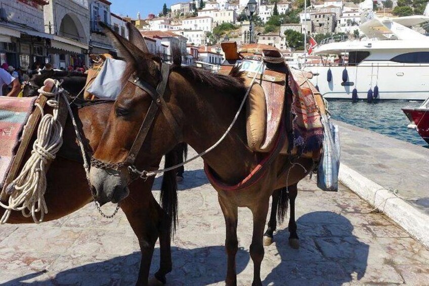 One Day Cruise to Hydra - Poros - Aegina from Athens