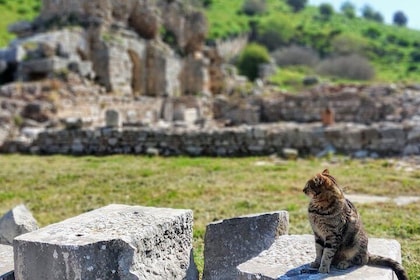 All-inclusive Private Ephesus Day Trip from Istanbul by Plane