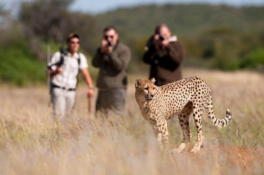 Taste of Namibia Safari - 8 Days