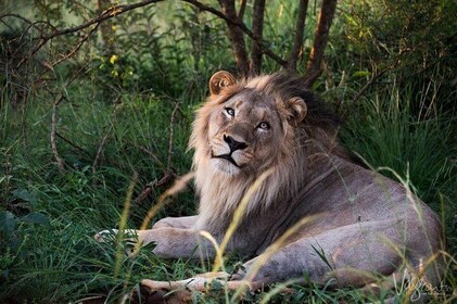 Cape Town, to Knysna 3 Days 3 Nights with Luxury Accommodation (4 Star)