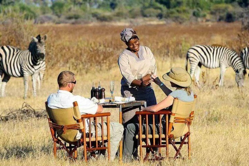 Cape Town 2 Days Tour, Aquila Safari Game Reserv Overnight&robben Island Getaway