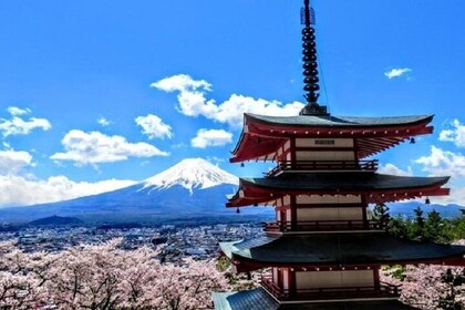 Highlights of Day Trip around Mt. Fuji by Public Transportation