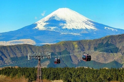 Hakone Full-Day Private Tour By Public Transport