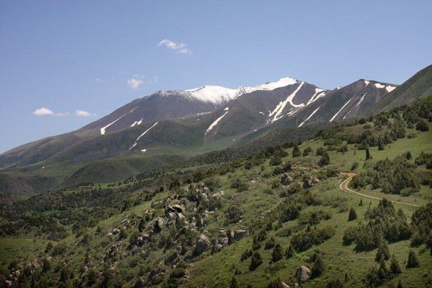 Trekking in Aksu-Zhabagly nature reserve (2 days)