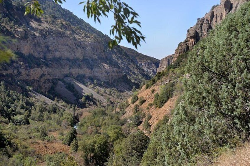 Trekking in Aksu-Zhabagly nature reserve (2 days)