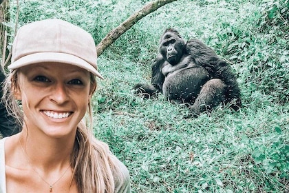 3 days Rwanda gorillas and golden monkeys trek Adventure