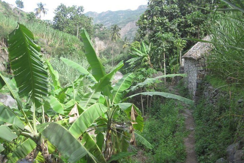 Welcome to beautiful Santo Antão