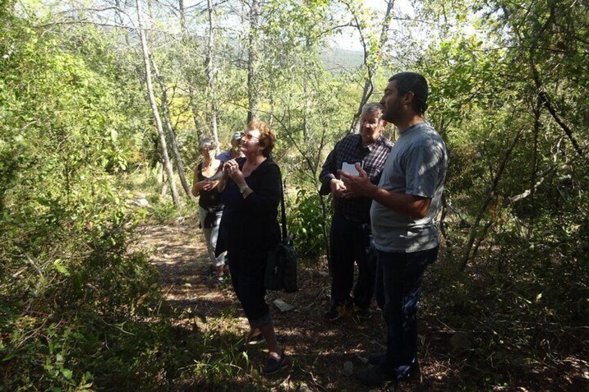 Walking and discovering local plants with a passionate gardener in Pic Saint-Loup area, Languedoc.