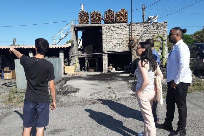 Discovering the process of cade oil in the area of Pic Saint-Loup, in Languedoc.