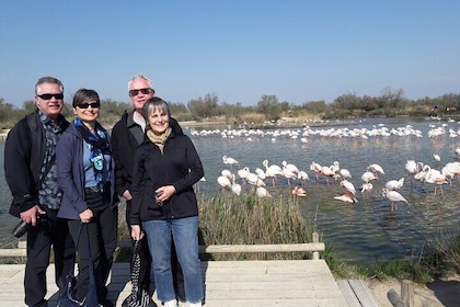 Flamingos and traditions of Camargue Nature Park
