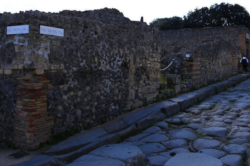 Small-Group Tour of Pompeii for Children & Families with Kid-friendly Guide