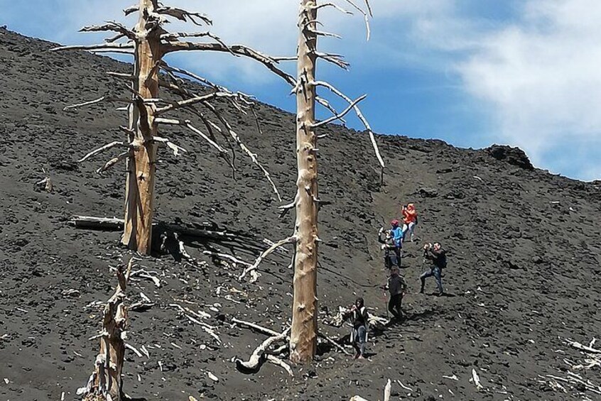 Unique experience on Etna.