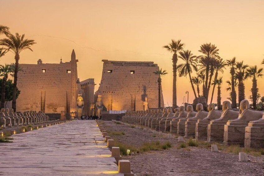 Full Day Luxor Tour From Sharm El-Sheikh By Airplane