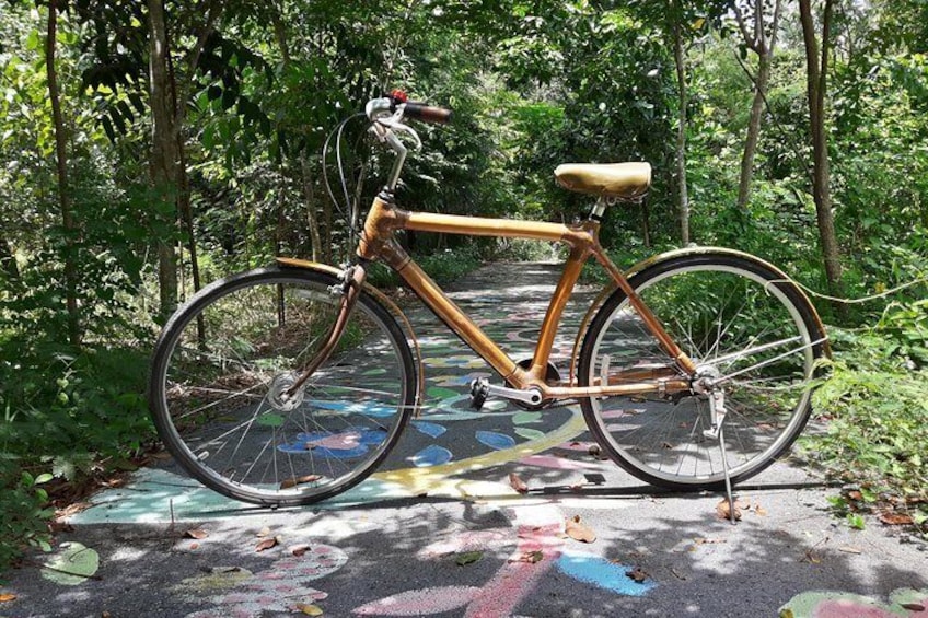 Mandalay Bike 'n Bite Tour