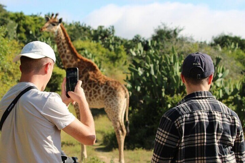 Grab your camera and take 1000 pictures, it is a great experience.