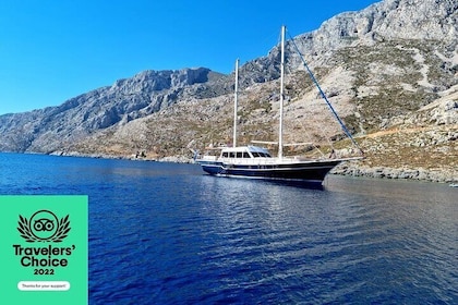 Crucero de Mykonos a Delos y Rhenia, barbacoa y bebidas, recorrido y trasla...