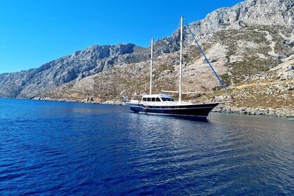 Mykonos Sail Cruise to Delos&Rhenia, BBQ&Drinks, optional Delos Tour & Tran...