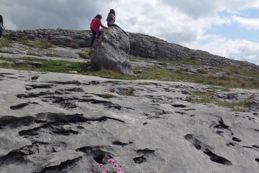 The Burren National Park