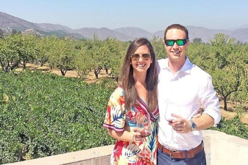 Full-Day Wine Tour from Santiago with Sommelier Guide