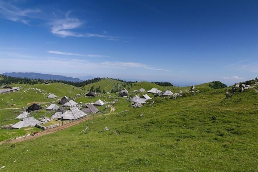 Velika Planina private hiking trip from Ljubljana
