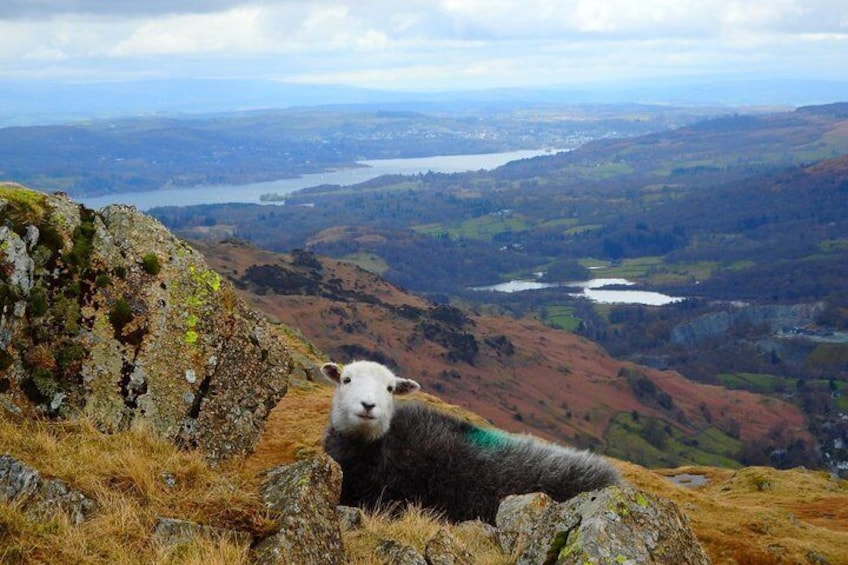 Ambleside to Windermere Mini Tour - Includes stop at The Kirkstone Inn