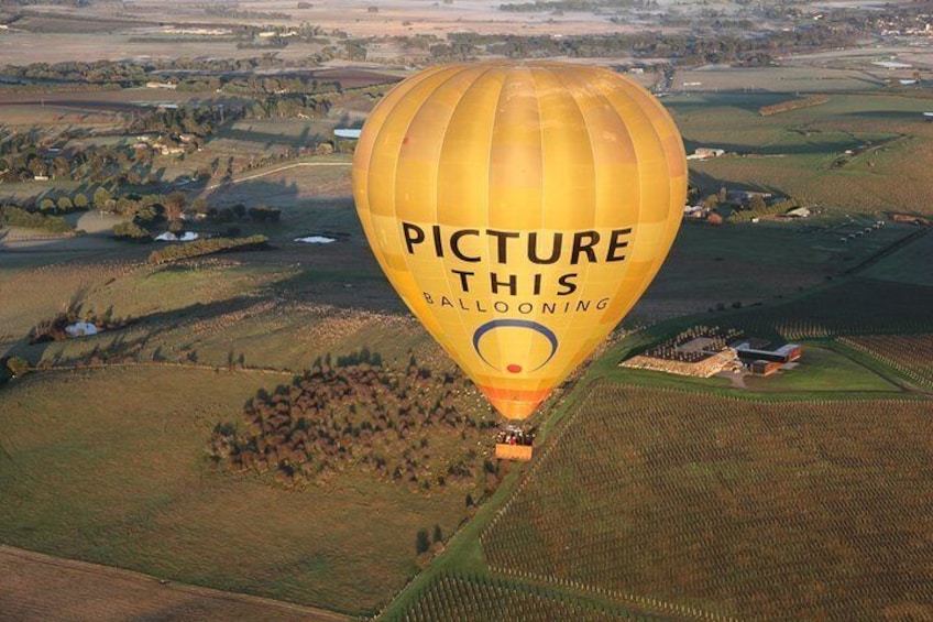 Yarra Valley sunrise balloon flight & champagne breakfast