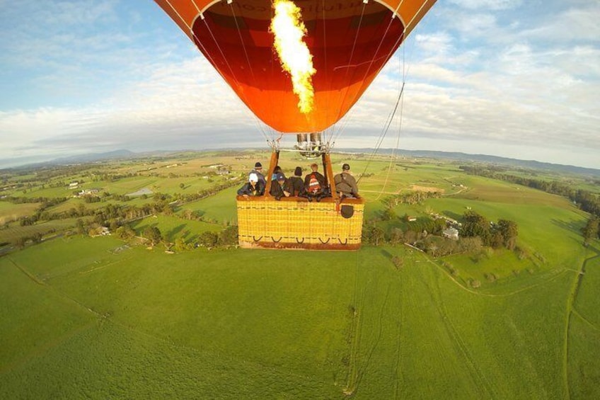 Yarra Valley sunrise balloon flight & champagne breakfast