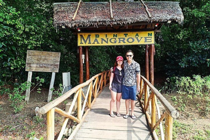 Bintan Mangrove Discovery Tour