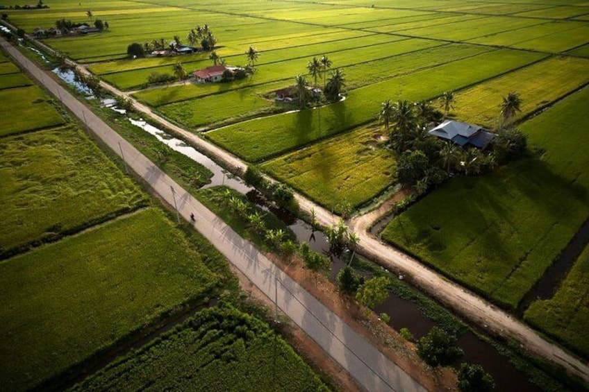 The picturesque Sekinchan paddy's field