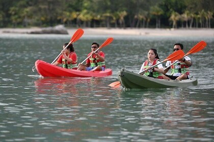 Langkawi Kayaking