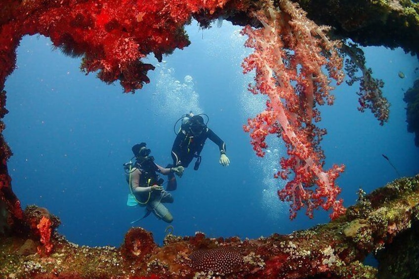 Bali Diving for Beginners: Tulamben Liberty Wreck