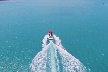 Deltag i en halv dag Coral Island med indisk frokost