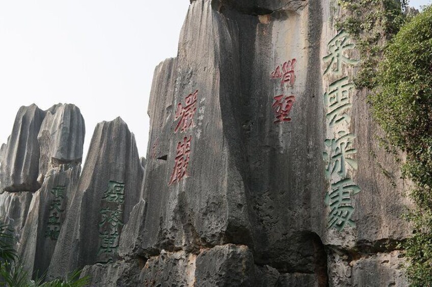 1 Day Stone Forest and Jiuxiang Cave with Roast Duck - Charge by Vehicle