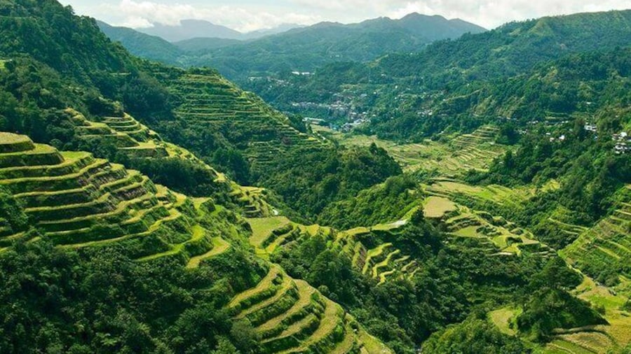 Banaue Rice Terraces