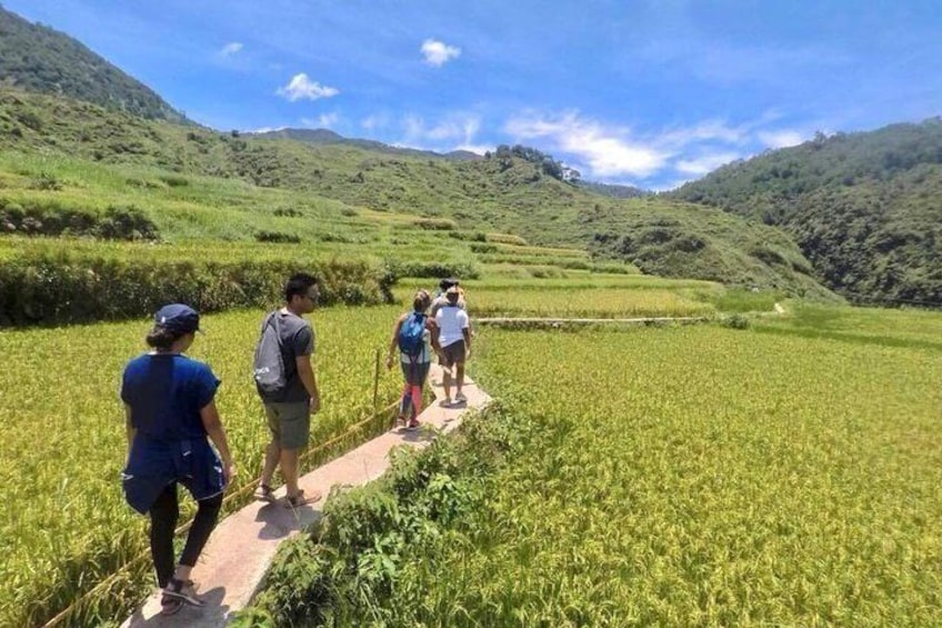 twalking along the rice terraces