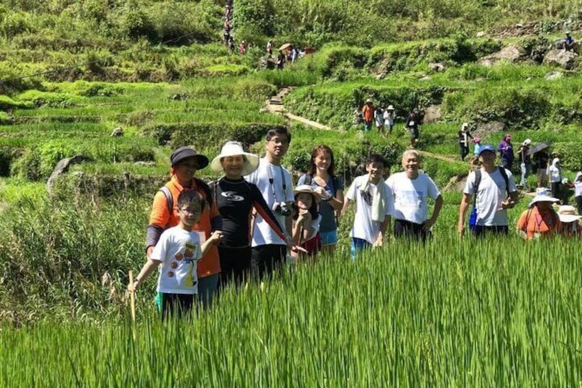 exploring the rice paddies