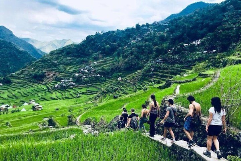 Trekking in Batad Rice Terraces
