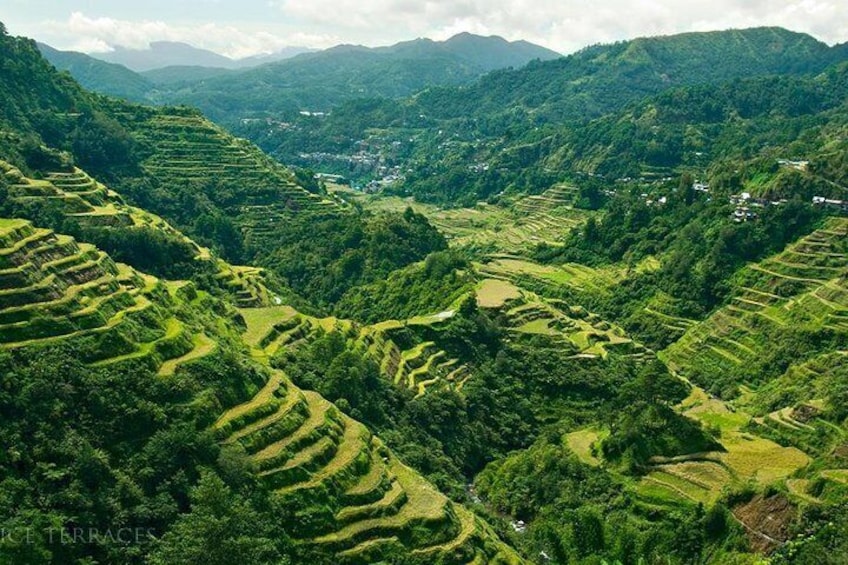 Banaue Rice Terraces