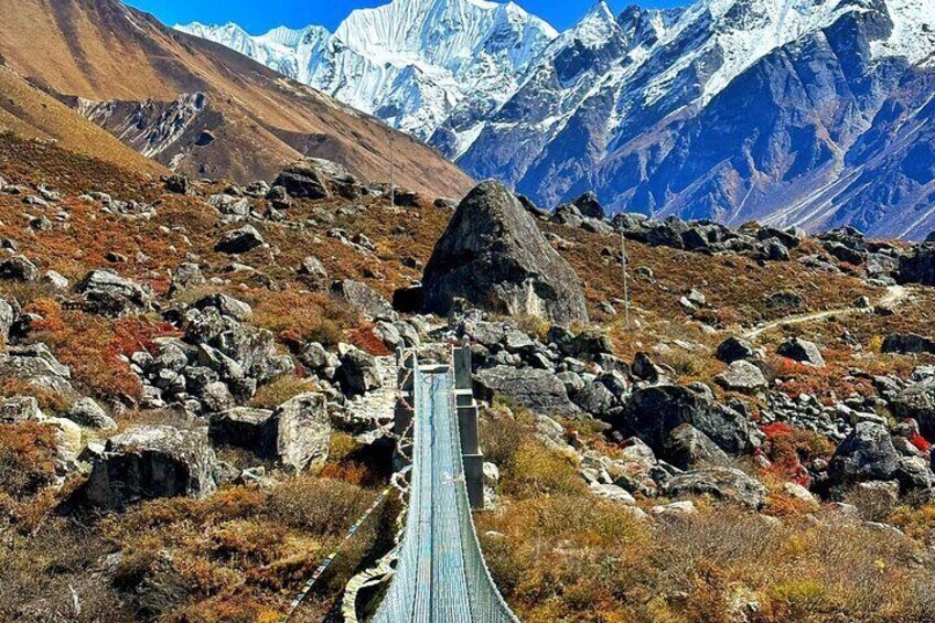 Suspension bridge
