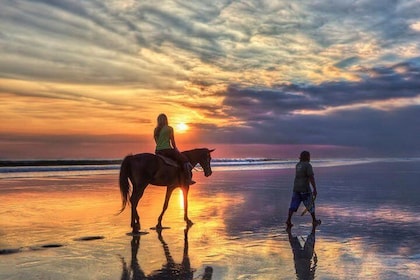 Exclusive Horse Riding on Seminyak Beach Bali