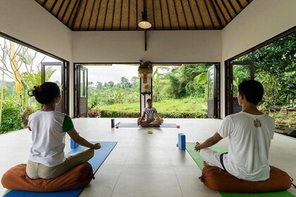 Full Day of Holistic Wellness in Bali