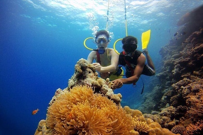 Bangaram Island Holiday