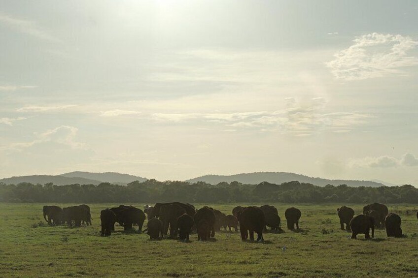 Kaudulla National Park