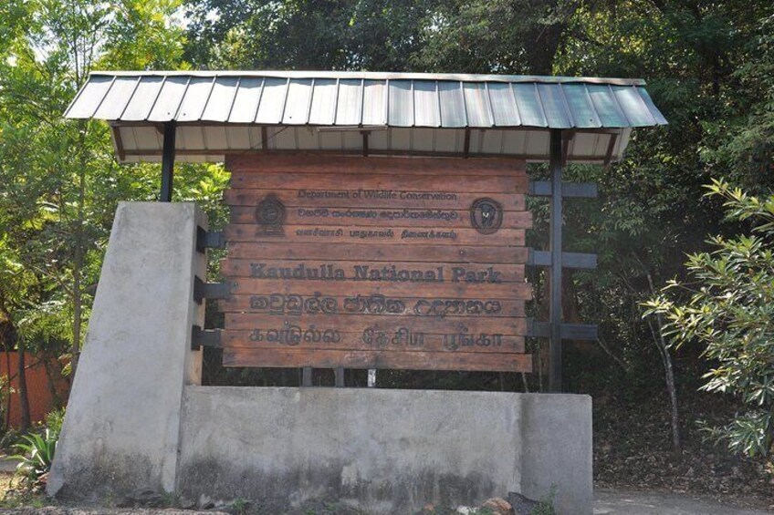 Kaudulla National Park Entrance Ticket