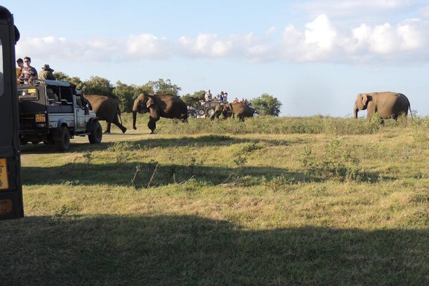 Kaudulla National Park