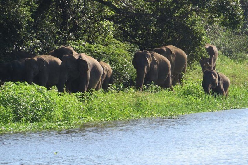 Wasgamuwa National Park