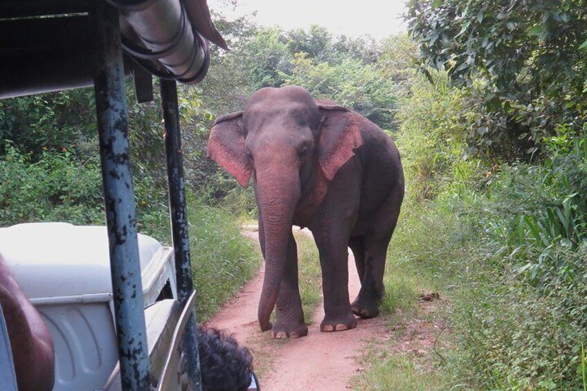 Wasgamuwa National Park